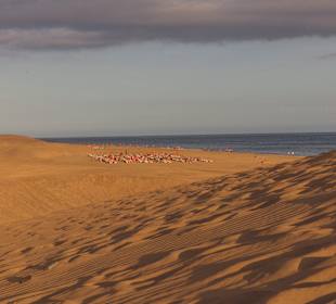 Dünen von Maspalomas