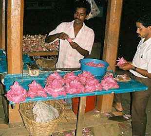 Lotusblütenverkäufer vor Tempel
