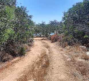 Einer der Wege zum Lana Beach