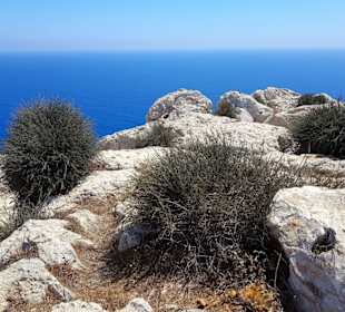 Cape Greco