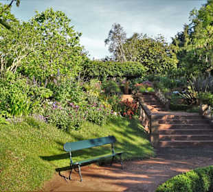 Eindrücke vom Rundgang durch Blandy´s Garden