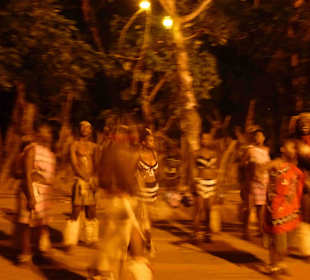 Krüger Nationalpark