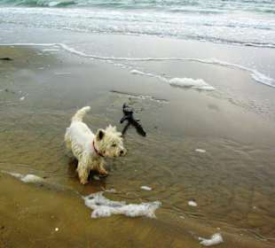 Ende September 2010 Inspirationen