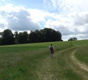 Premiumwanderweg "hochgehackert"