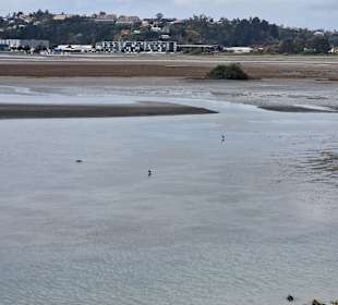 Ahuriri Estuary Walk