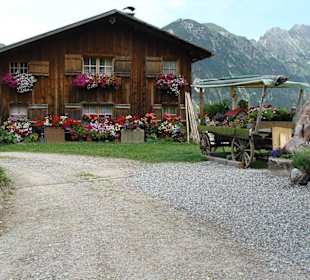 Etwas fürs Auge bei Stein