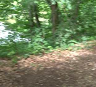 Wanderrunde Emeringen zum Rechtenstein