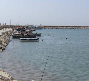 Der Hafen in dem die Schildkröten sind