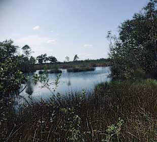 Pietzmoor