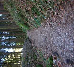 Wanderweg Pottenstein