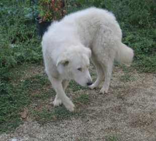 Azienda Agricola Arena Carmelo