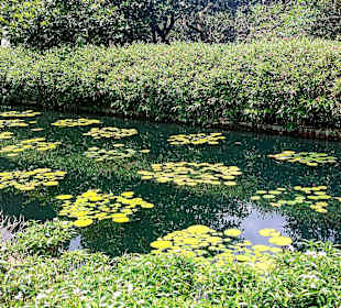 Botanischer Garten