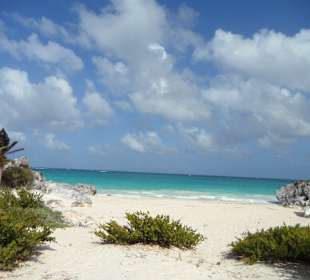 Beim Ausflug: Traumstrand von Tulum