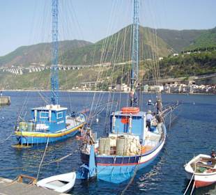 Scilla Hafen