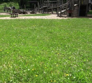 Spiel und Grillplatz Altensteig