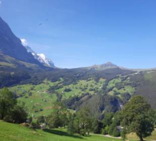 Blick während der Wartezeit auf den Bus am Markt