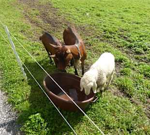 Wandern Gsiesertal