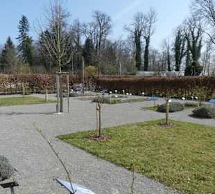 Übersicht der Beete