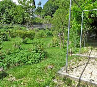Impressionen aus dem Trostberger Rosengarten