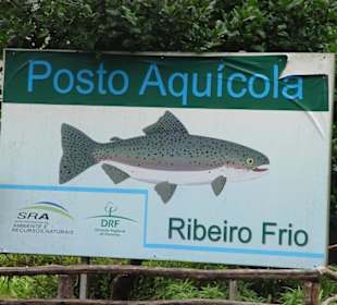 Madeira Lido Osten-Tour 