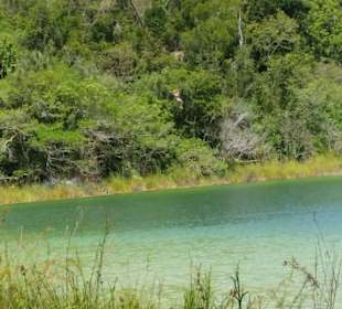 Zip Line Coba