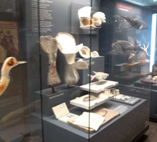 Museum der Naturkunde