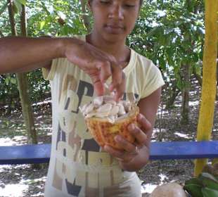 Truck Safarie mit RH.