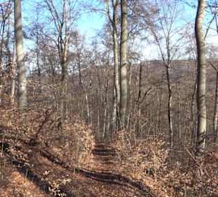 Wandertour Eppenzill