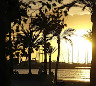 Strand bei Ballermann 2