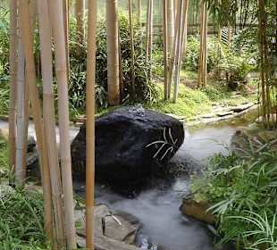 Der Bachlauf im Tropenhaus