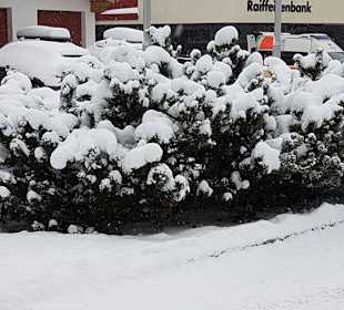 Noch mehr Schnee