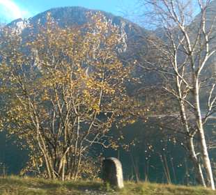 Plansee