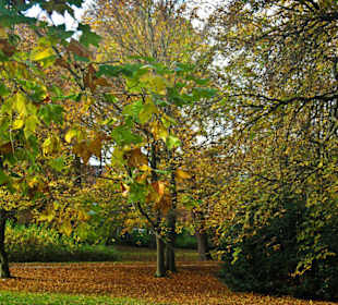 Парк Замка Ойтин.Золотая осень.