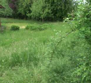 Naturinfopfad Weggental