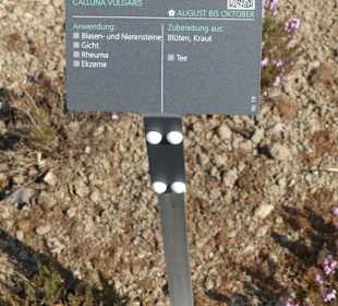 Erläuterungen der Kräuter