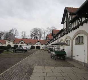 Schloss Fürstenstein ( Ksiaz ) Staatliches Gestüt
