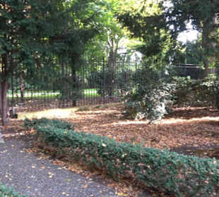Englischer Garten