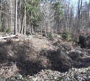 Historischer Rundwanderweg Aichtal