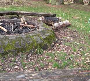 Wellingtonien - Platz mit Mammutbäumen