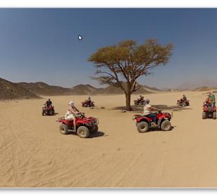 Quad Tour