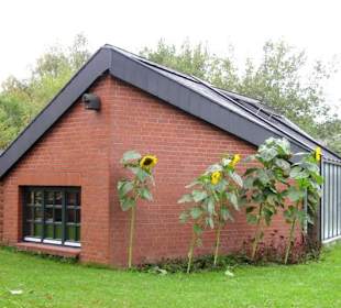 Neuer Botanischer Garten