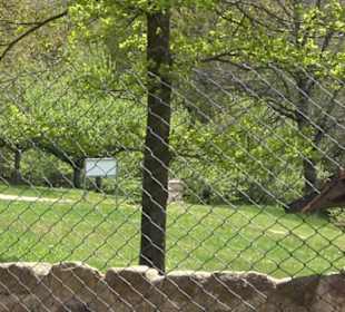 Römisches Freilichtmuseum Hechingen-Stein