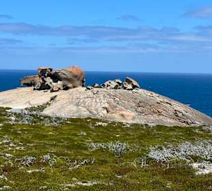 Remarkable Rocks