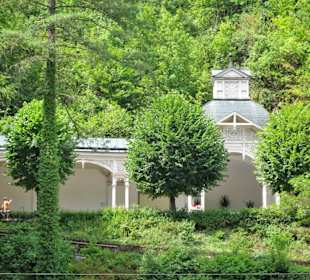 Impressionen aus dem Kurpark Bad Berneck