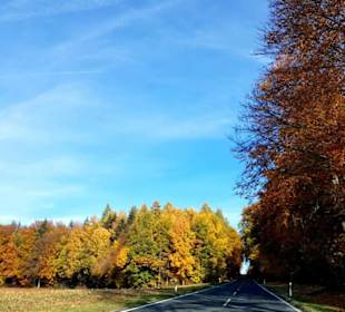 Farbenpracht im Herbst