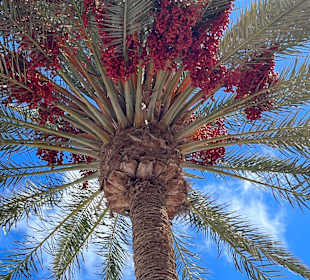 Strandpromenade Morro Jable