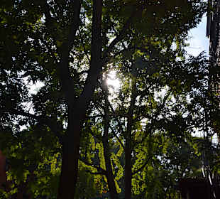 Sonnenschein im Christopher Street Park, unser Sta