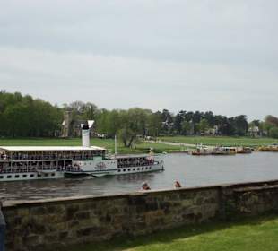Von der Elbterrasse Blick auf die Elbe