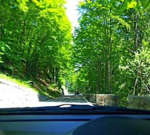 Plöckenpass 2010 die ganze Strecke