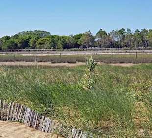 Das Naturschutzgebiet Bibi